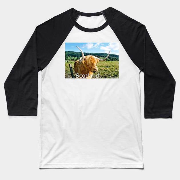 The Hairy Coo - Highland cow , Scotland Baseball T-Shirt by goldyart